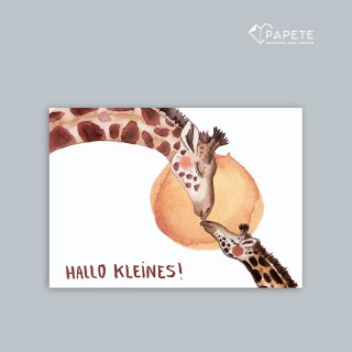 Papete- Postkarte- HALLO KLEINES